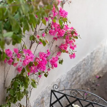 La Magnolia Pensión Procida