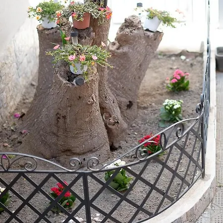 La Magnolia 4* Procida