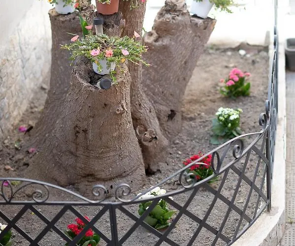 La Magnolia 4* Procida